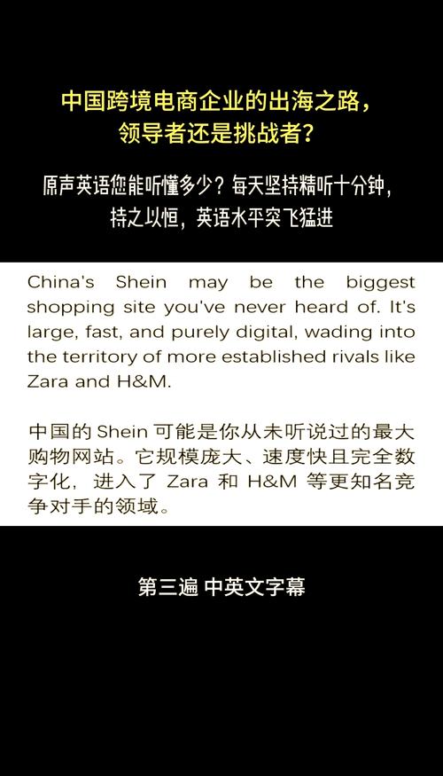 SHEIN为何紧急要求中国供应商转战越南？背后隐藏的危机与机遇  第7张