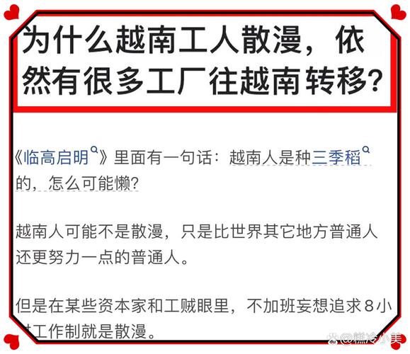 SHEIN为何紧急要求中国供应商转战越南？背后隐藏的危机与机遇  第9张