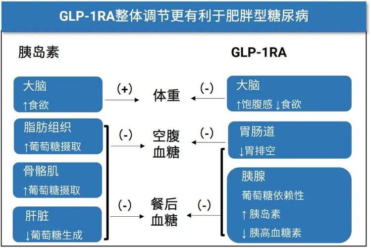 GLP-1药物减重效果惊人，但为何可能导致失明？揭秘最新研究  第4张