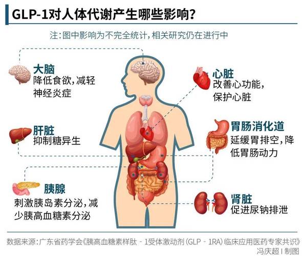 GLP-1药物减重效果惊人，但为何可能导致失明？揭秘最新研究  第7张