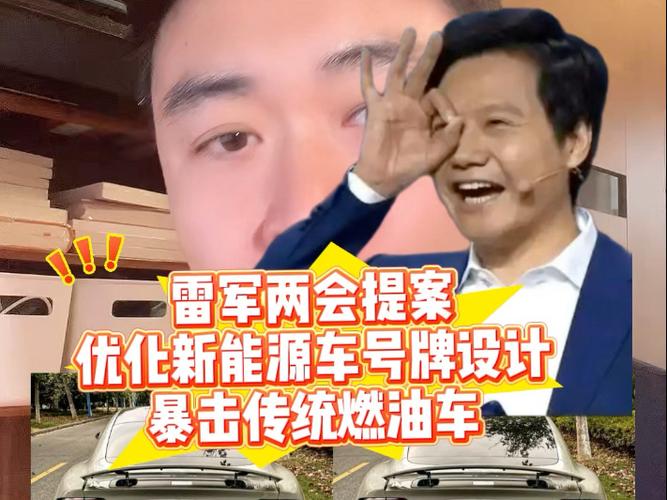 新能源车牌大改革！雷军提案引爆全网，你支持哪种设计？  第13张