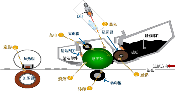 新能源车牌大改革！雷军提案引爆全网，你支持哪种设计？  第9张