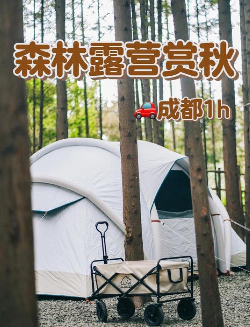 想要露营的快乐却不想出门？在家中打造你的私人小森林吧  第8张