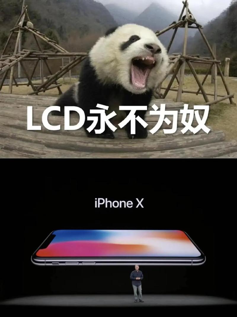 手机照片传电脑就变丑？揭秘屏幕背后的惊人真相  第7张