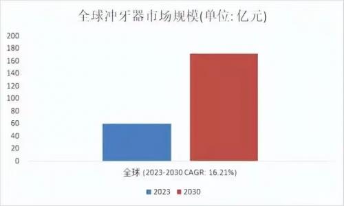 2025年冲牙器市场将迎来怎样的巨变？揭秘口腔护理新趋势