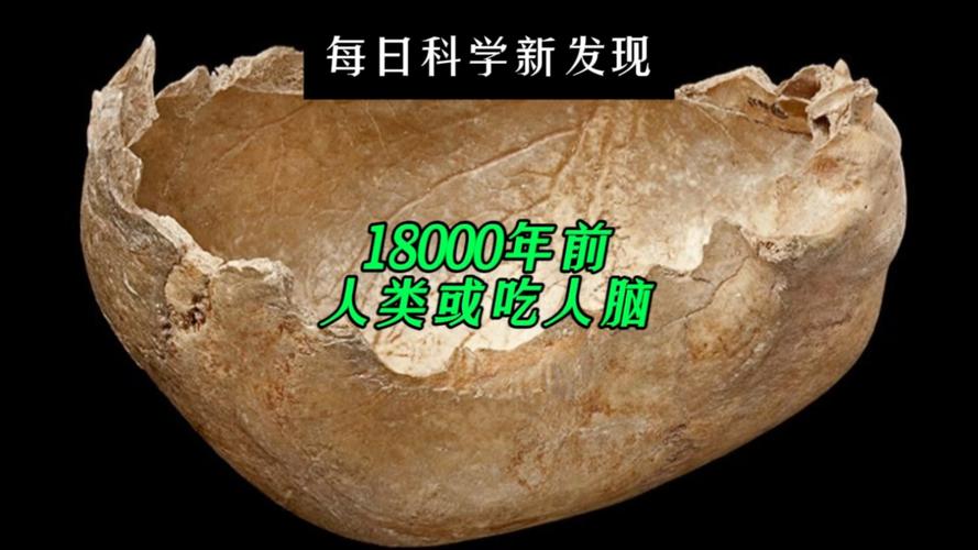 18000年前人类竟有吃人脑的习俗！你相信吗？  第2张