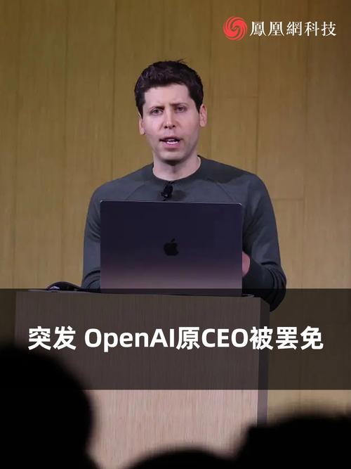 DeepSeek的崛起让OpenAI CEO山姆·奥特曼坦言压力山大，他们的交流会面会有何惊人结果？  第3张