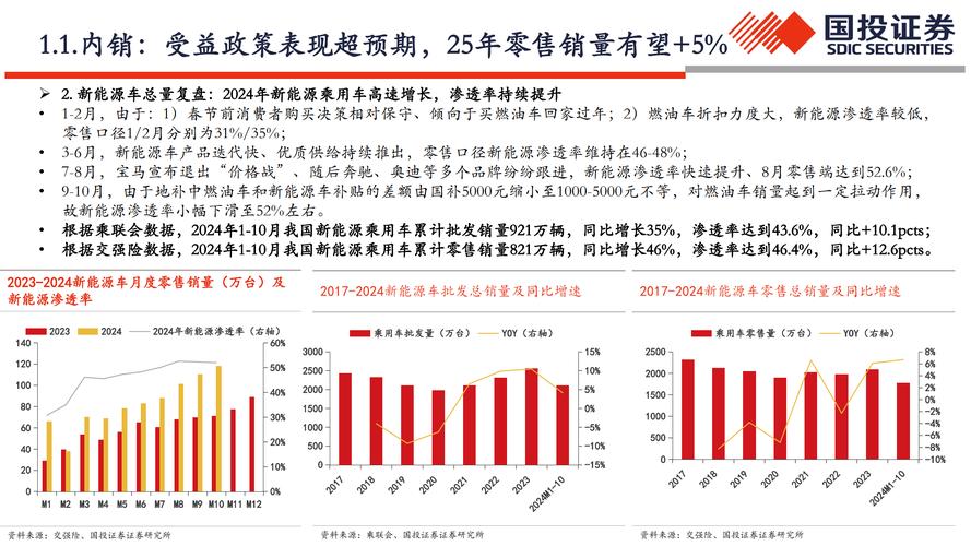 2025年车市四大趋势曝光，中国品牌崛起能否颠覆全球市场？  第9张