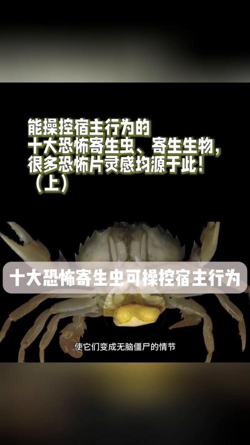 寄生虫的世界有多疯狂？它们竟然会吃掉自己的母亲  第4张