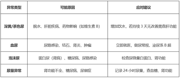 你的晨尿告诉你什么健康秘密？异常气味和泡沫竟隐藏这些疾病信号  第5张