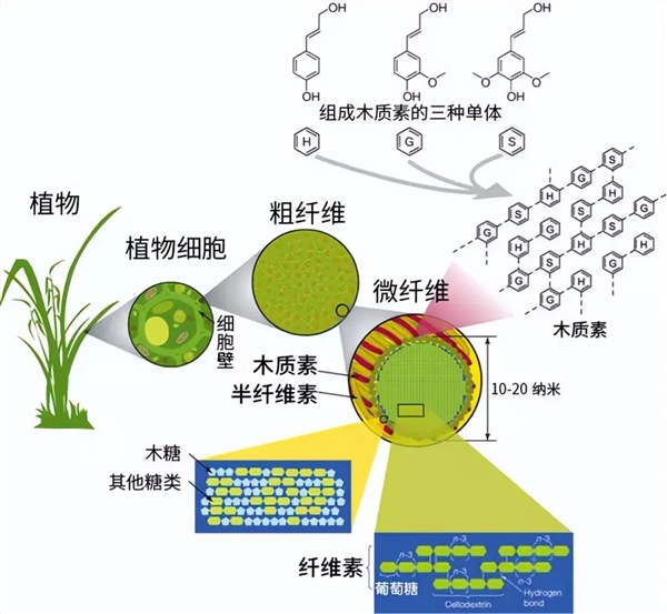 你知道吗？古代卖炭翁为何不直接卖木柴，而是烧成木炭？  第4张