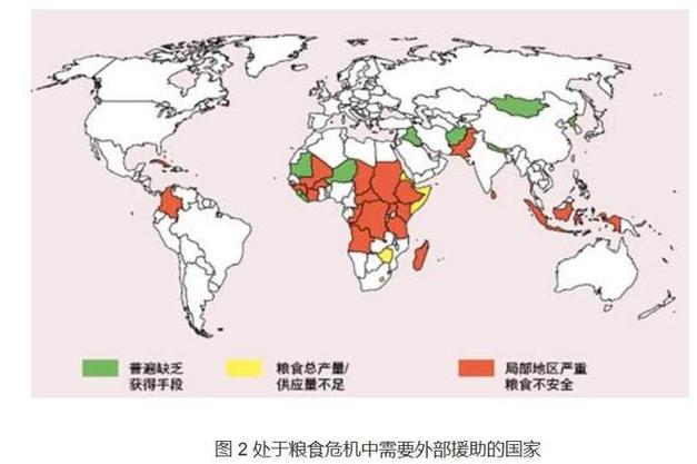 地球人口暴涨至80亿，粮食危机真的会来吗？揭秘未来生存的关键  第14张