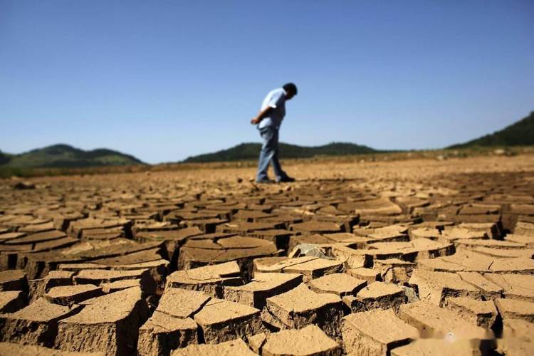 地球人口暴涨至80亿，粮食危机真的会来吗？揭秘未来生存的关键  第15张