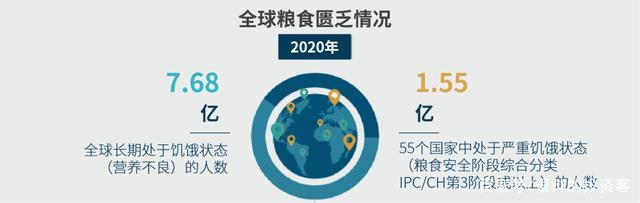 地球人口暴涨至80亿，粮食危机真的会来吗？揭秘未来生存的关键  第3张