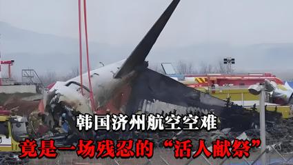 济州航空空难真相曝光！黑匣子数据揭示惊人内幕，背后竟隐藏如此阴谋？  第13张