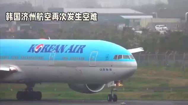 济州航空空难真相曝光！黑匣子数据揭示惊人内幕，背后竟隐藏如此阴谋？  第5张