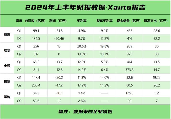 零跑汽车逆袭成功！2024年第四季度净利润转正，小鹏和蔚来措手不及  第11张