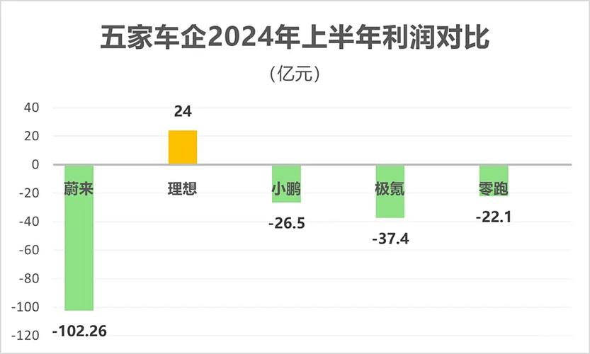 零跑汽车逆袭成功！2024年第四季度净利润转正，小鹏和蔚来措手不及  第12张