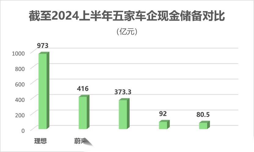 零跑汽车逆袭成功！2024年第四季度净利润转正，小鹏和蔚来措手不及  第9张