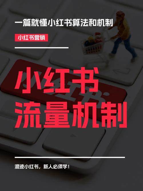 小红书登顶美国App Store！国内巨头如何玩转英文梗吸引流量？  第4张