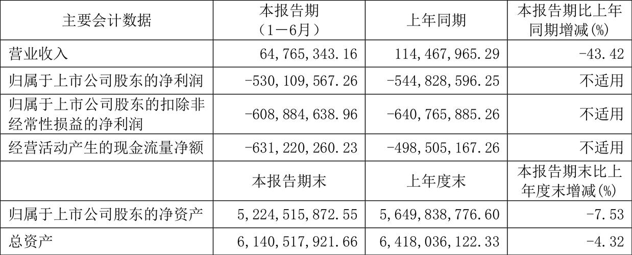 寒武纪2024年营收暴涨50%以上，为何净利润仍亏损近4亿？  第11张