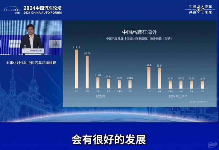 2024年中国汽车市场：产销双增背后，利润为何逆势下滑？  第8张