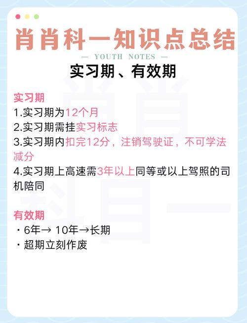 驾照考试作弊竟花9000元！理论考试真的这么难吗？  第4张