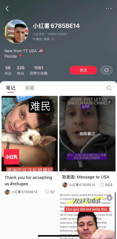 TikTok难民涌入小红书，美国用户为何疯狂追捧？新功能即将上线  第8张