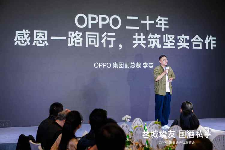 OPPO全渠道增长解决方案震撼发布！开发者如何轻松实现应用长效增长？  第13张