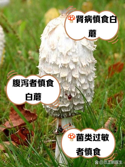 地铁站天花板上的白色蘑菇究竟是什么？它们竟然掌控着你的网络连接  第11张