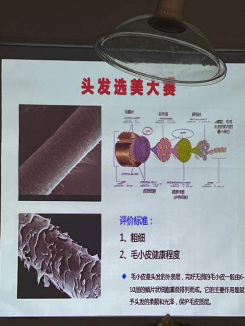 烫发真的会伤害头发吗？揭秘烫发背后的化学与物理奥秘  第5张