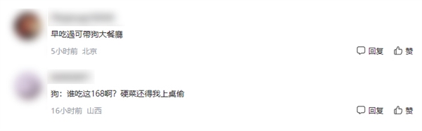 168元小狗年夜饭套餐竟被秒光！宠物过年新风尚你了解多少？