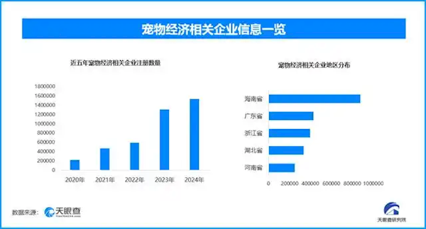 168元小狗年夜饭套餐竟被秒光！宠物过年新风尚你了解多少？  第8张