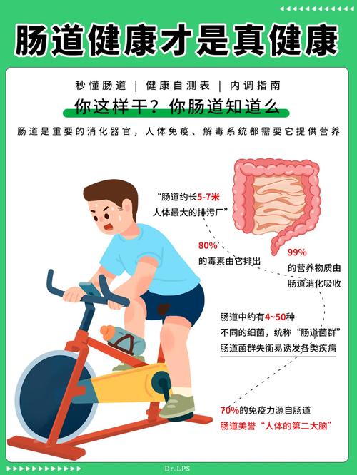 冬季肠道免疫力下降？70%免疫细胞在肠道，如何守护你的健康防线