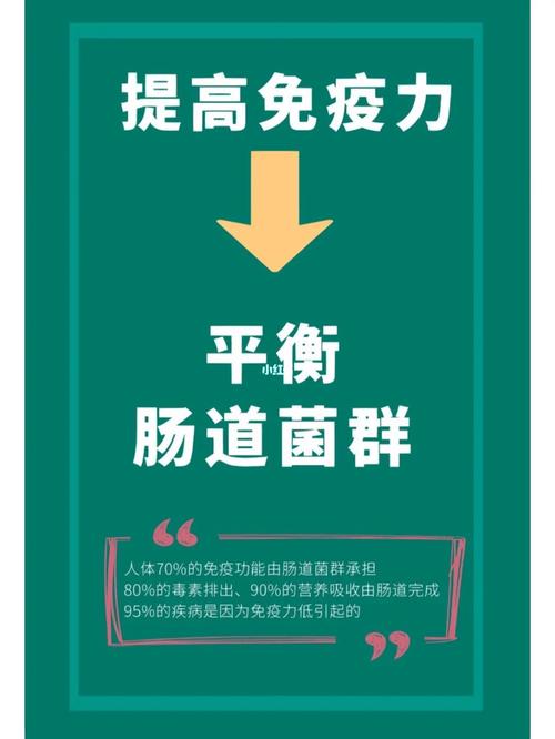 冬季肠道免疫力下降？70%免疫细胞在肠道，如何守护你的健康防线  第3张