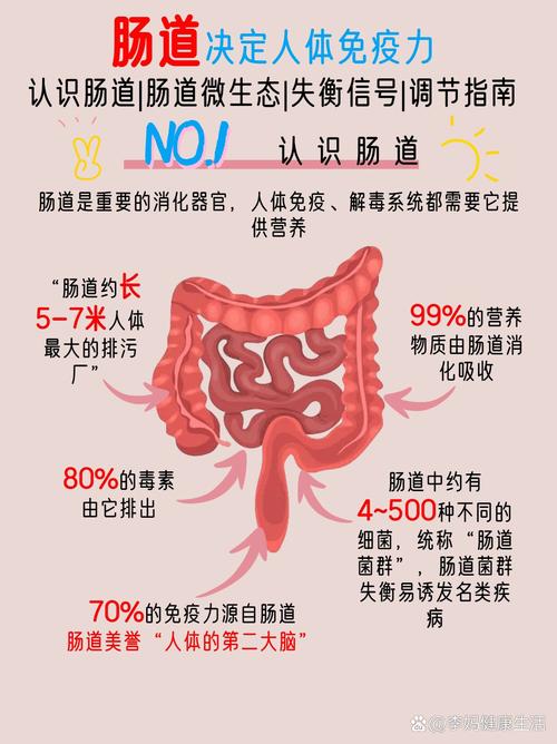 冬季肠道免疫力下降？70%免疫细胞在肠道，如何守护你的健康防线  第10张