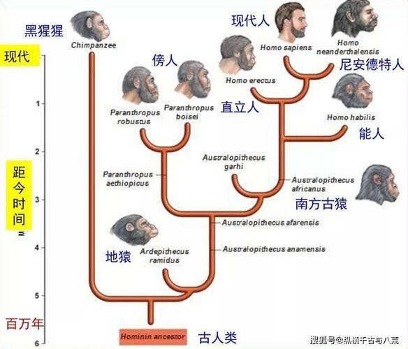 为什么非洲是人类的摇篮却未能孕育出先进文明？揭秘背后惊人真相