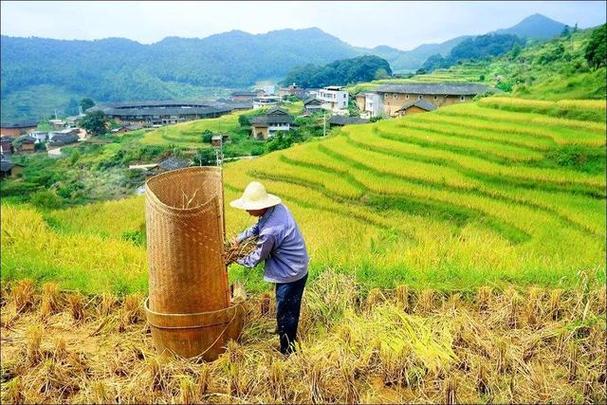 为什么非洲是人类的摇篮却未能孕育出先进文明？揭秘背后惊人真相  第5张