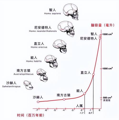 为什么非洲是人类的摇篮却未能孕育出先进文明？揭秘背后惊人真相  第8张