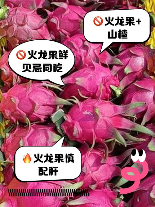 乡村孩子的晚餐竟有火龙果！维C护苗计划如何改变他们的生活？  第12张