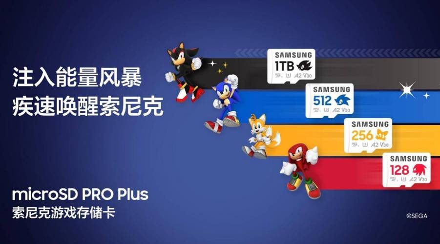 索尼克迷必看！三星与世嘉联名推出PRO Plus microSD卡，四种款式任你选  第3张