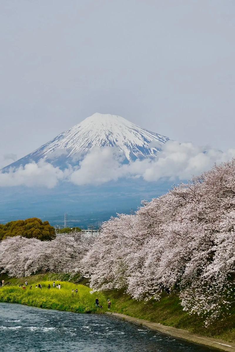 2024年富士山收费大调整！静冈县为何突然涨至4000日元？  第9张