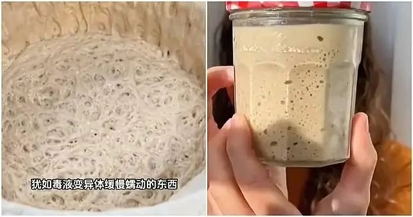 城市出租房内养牛？这魔幻一幕竟引网友灵魂拷问！你怎么看？  第11张