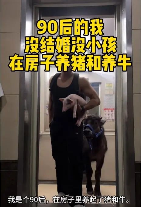 城市出租房内养牛？这魔幻一幕竟引网友灵魂拷问！你怎么看？  第5张