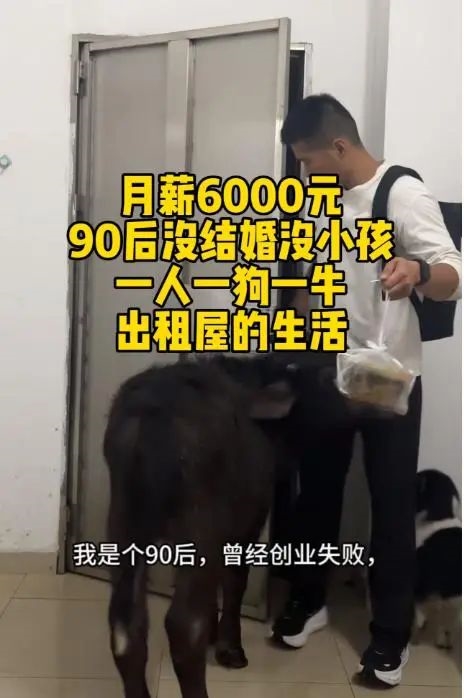 城市出租房内养牛？这魔幻一幕竟引网友灵魂拷问！你怎么看？  第8张