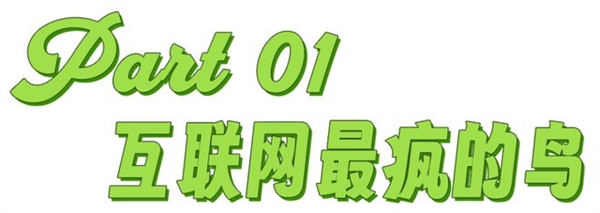 多邻国：这只绿色小鸟如何让中国做题家彻底沦陷？  第2张