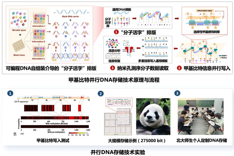 毕昇一号：DNA存储技术的革命性突破，未来数据存储将如何颠覆现有技术？