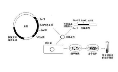 毕昇一号：DNA存储技术的革命性突破，未来数据存储将如何颠覆现有技术？  第4张