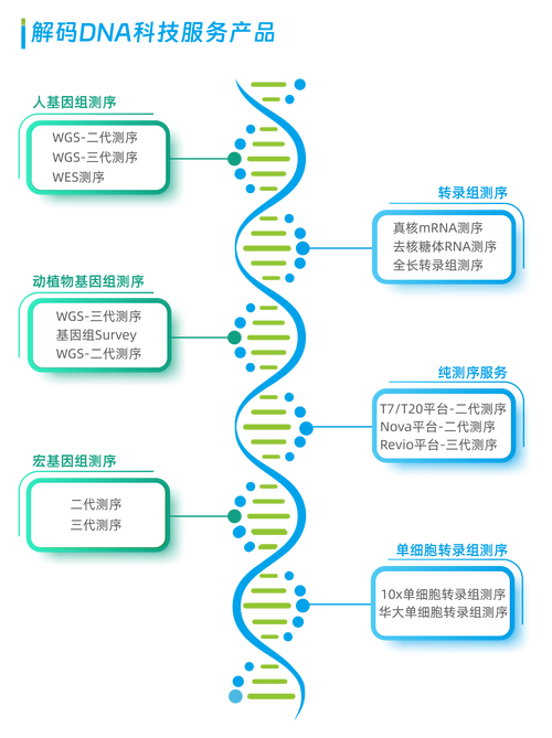 毕昇一号：DNA存储技术的革命性突破，未来数据存储将如何颠覆现有技术？  第7张