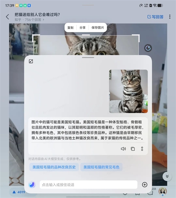 国行iPhone用户苦等AI！安卓阵营却早早玩出花？  第9张